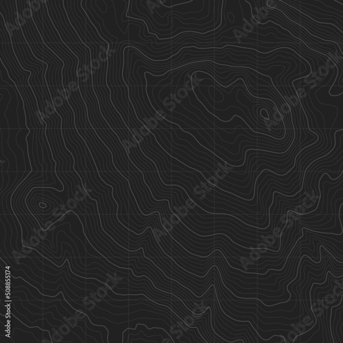 Vector Modern Cartography Art Black Abstract Topography Contour Map With Relief Elevation. Geographic Terrain Area Satellite Digital View Minerals Deposits Research Contemporary Dark Grey Illustration