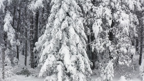 Winter in Greece mountain forest 4K Full HD aerial footage