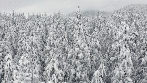 Winter in Greece mountain forest 4K Full HD aerial footage