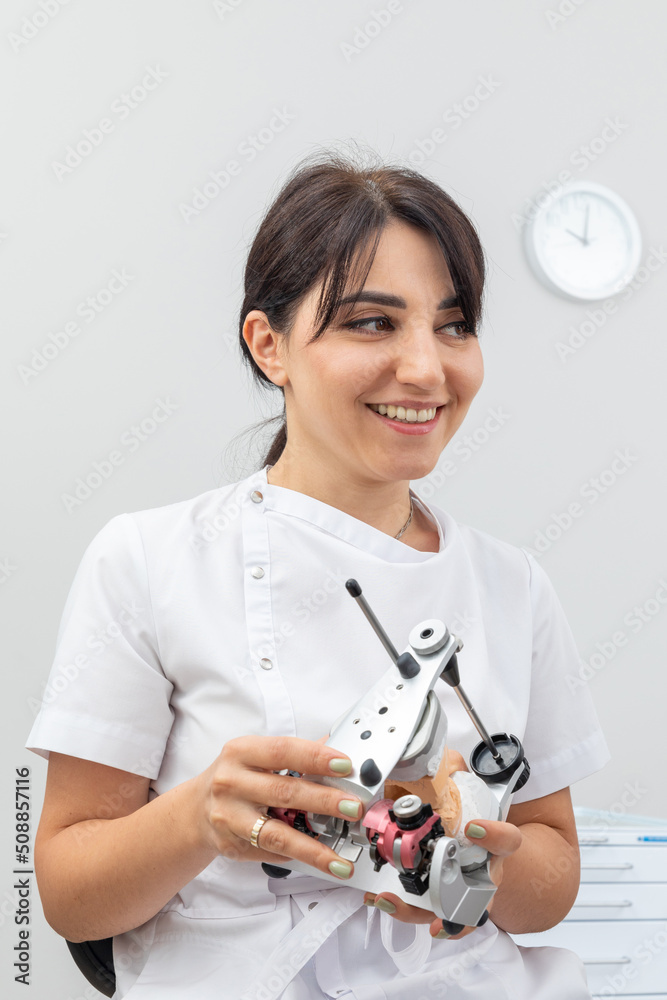 Dentist holding dental articulator with dental gypsum prosthesis model