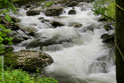 Cascades in the Middle prong of the Little Pigeon River in Great Smoky Mountains, TN, USA in early springtime