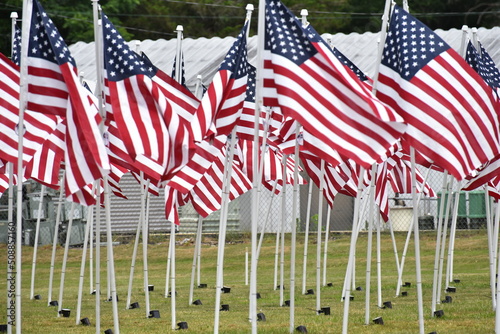Flags of the United States of America.