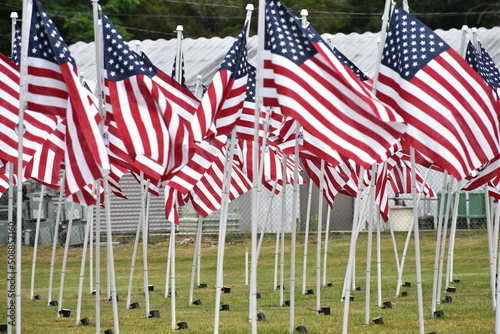 Flags of the United States of America.