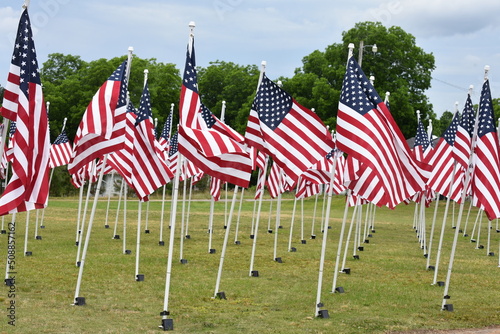 Flags of the United States of America.