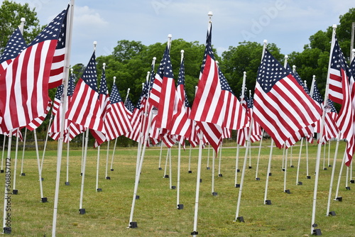 Flags of the United States of America.