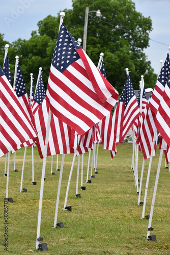 Flags of the United States of America.