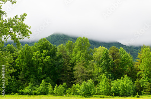 Cades Cove in Great Smoky Mountains, TN, USA in early springtime. Clouds settled on the mountaintops.