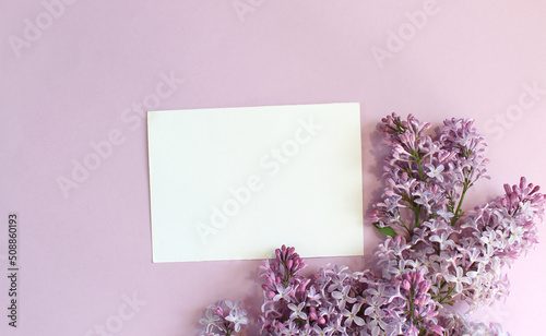 Lilac flowers on color background. Spring is coming concept. Text space. Mock up.