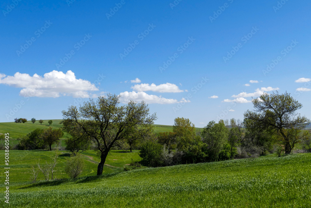 spring landscapes, spring images in continental climate, spring in turkey,