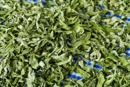 Obraz na płótnie drying mint to add flavor to dishes, dried mint from spice varieties, w salonie