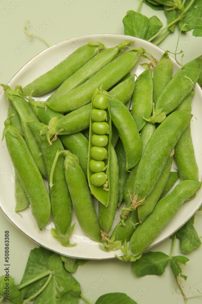 Freshly harvested organic green peas on the table Freshly harvested organic green peas on the table