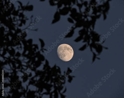 moon and clouds