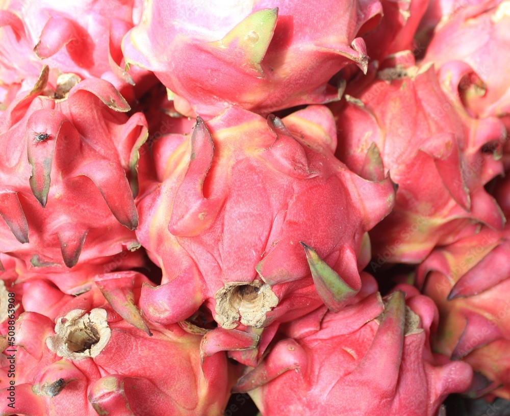 Close-up of Dragon Fruit in Indonesian Traditional Market, Tropical Fruit