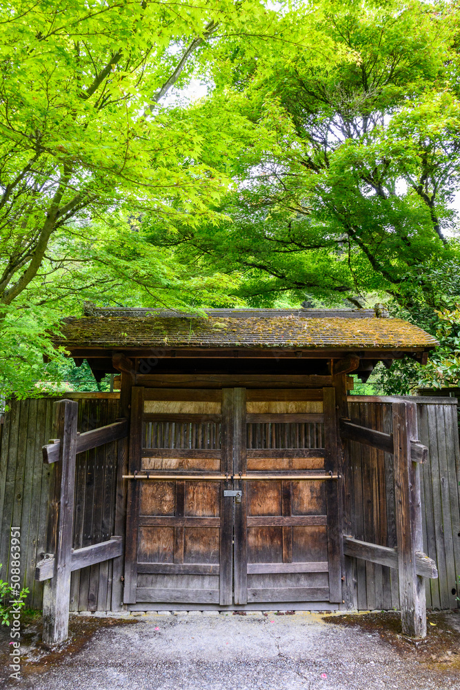 Rustic wooden doors in a closed entrance gate, wet spring day in a garden
