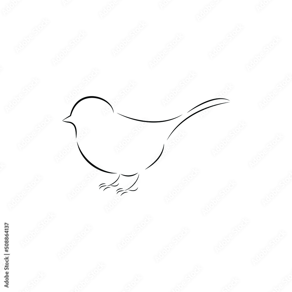 bird silhouette illustration beautiful outline design art bird silhouette illustration beautiful outline design art