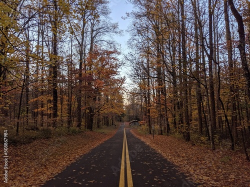 yellow centerline on road through fall colors