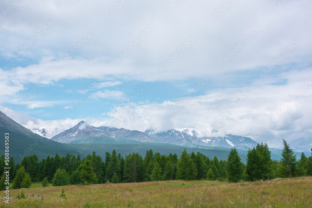 Scenic green landscape with coniferous forest line on hill and high snowy mountain range in low clouds. Colorful scenery with green forest and snow mountains under lue cloudy sky in changeable weather Scenic green landscape with coniferous forest line on hill and high snowy mountain range in low clouds. Colorful scenery with green forest and snow mountains under lue cloudy sky in changeable weather