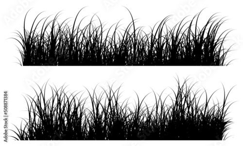 grass silhouette, grass black white