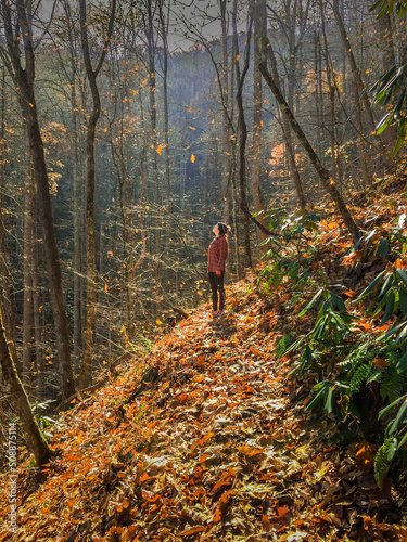 Woman marvels at colorful leaves falling all around her in the woods