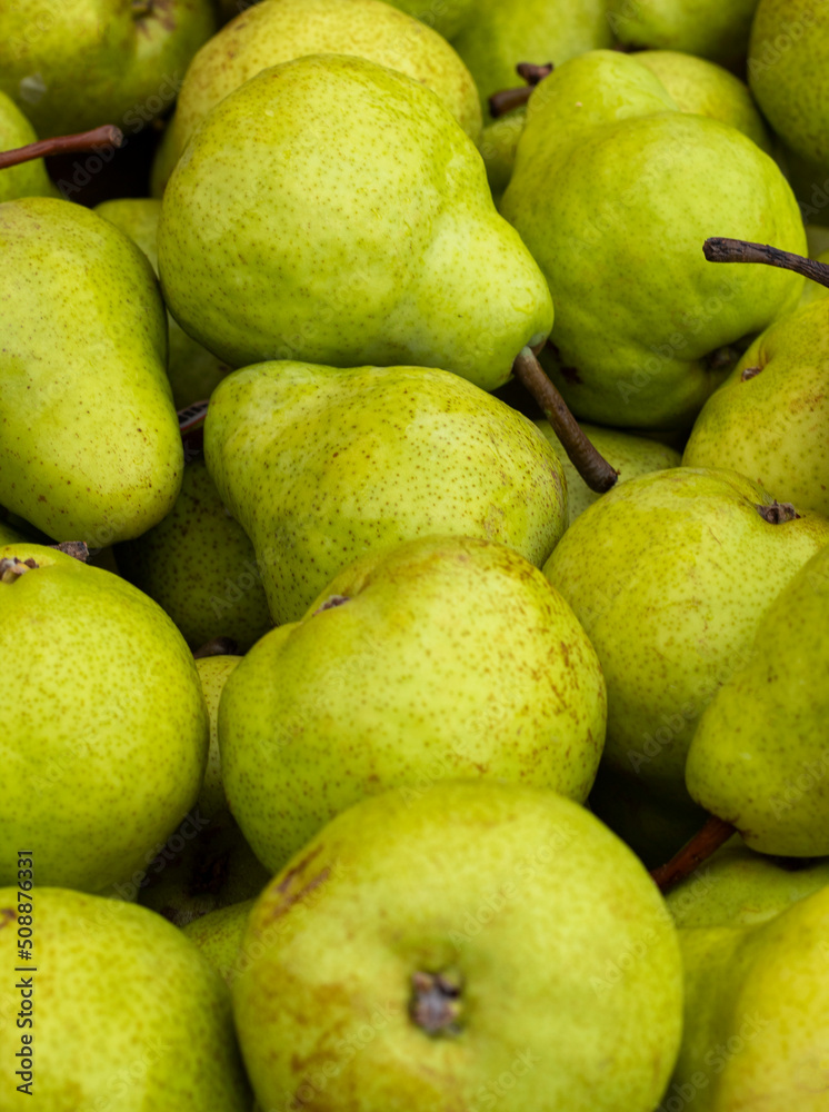 Fresh and delicious pear - Pyrus communis