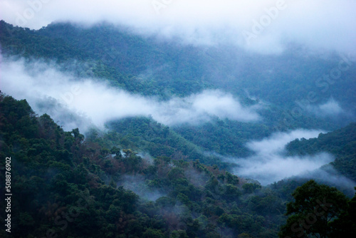 Misty Hills of Kuttikkanam. Beautiful landscape in a foggy morning.