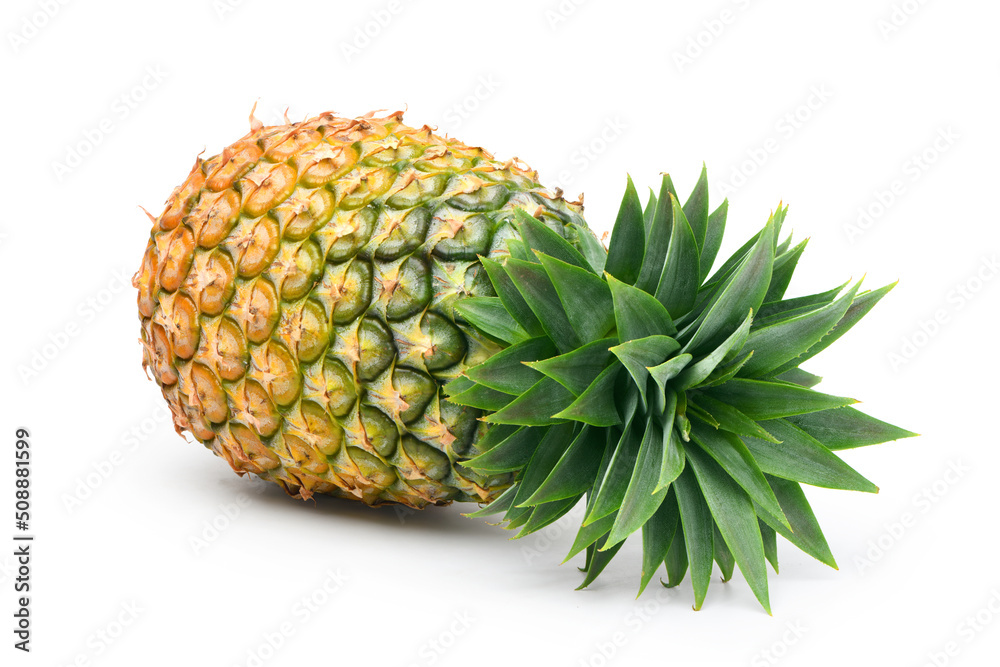 Pineapple isolated on white background. Clipping path. Pineapple isolated on white background. Clipping path.