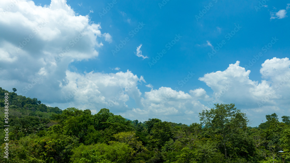 Aerial view of beautiful natural green field of forest in the wild forest mountain ,Clean Air natural fresh Air concept on blue sky fluffy cloud Aerial view of beautiful natural green field of forest in the wild forest mountain ,Clean Air natural fresh Air concept on blue sky fluffy cloud