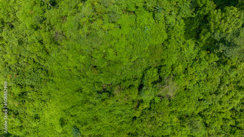Aerial view of beautiful natural green field of forest in the wild forest mountain ,Clean Air natural fresh Air concept