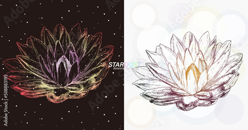 宇宙の銀河のような線で描画されたスイレン
