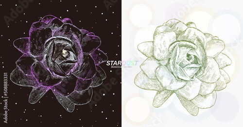宇宙の銀河のような線で描画されたジャスミン