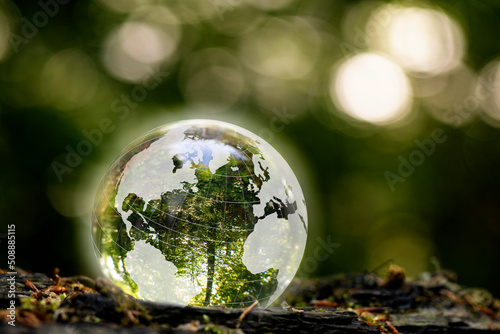 Globe in nature with nature inside in Scandinavian forest. An illustration that shows how we should take care of nature