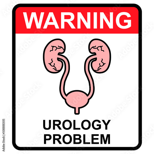 Urology health human icon, anatomy medical body bladder sign, biology vector illustration