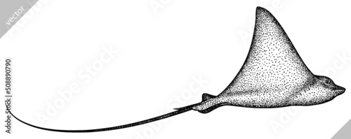 black and white engrave isolated stingray vector illustration