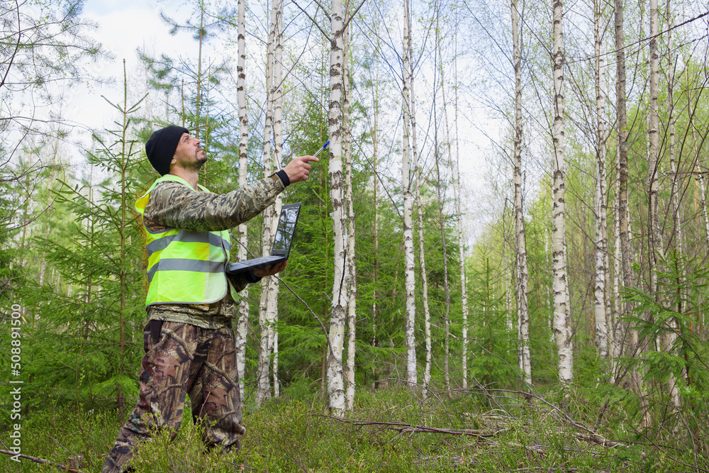 A forest engineer works in a young birch forest with a computer. Reflections of trees are visible on the computer screen.