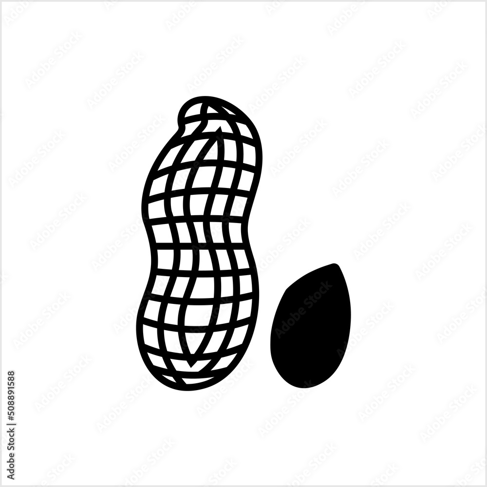 Peanut Icon, Groundnut Icon, Goober Icon, Monkey Nut Icon, Arachis Hypogaea Peanut Icon, Groundnut Icon, Goober Icon, Monkey Nut Icon, Arachis Hypogaea
