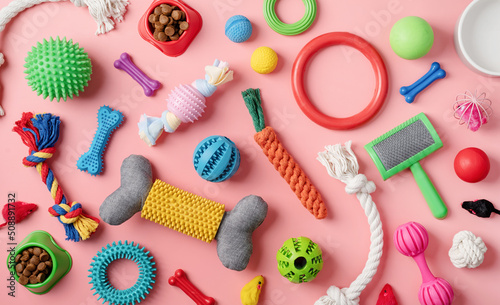 Pet care concept, various pet accessories and tools on pink background, flat lay photo