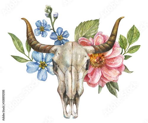 Watercolor isolated illustration of bull skull with peony flowers, roses, leaves, buds on white background