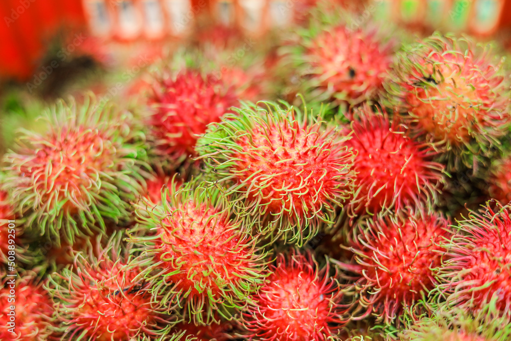 The background of the sweet fruit of rambutan, with green, yellow, red, appetizing colors, is a perennial fruit found in the garden, and can be processed into canned food for export. The background of the sweet fruit of rambutan, with green, yellow, red, appetizing colors, is a perennial fruit found in the garden, and can be processed into canned food for export.