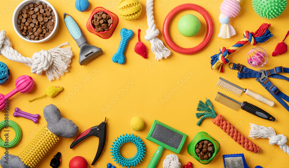 Pet care concept, various pet accessories and tools on yellow background, flat lay