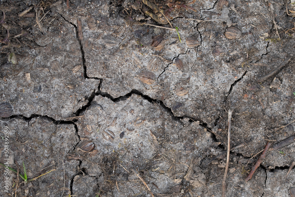 Closeup of dry ground with cracks Closeup of dry ground with cracks
