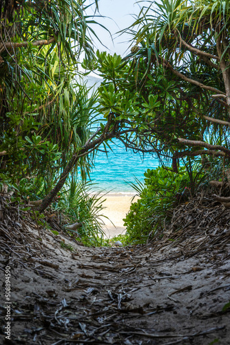 sea over the jungle