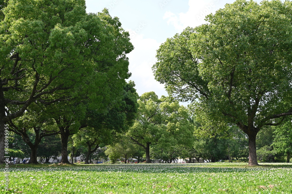 Obraz premium 公園