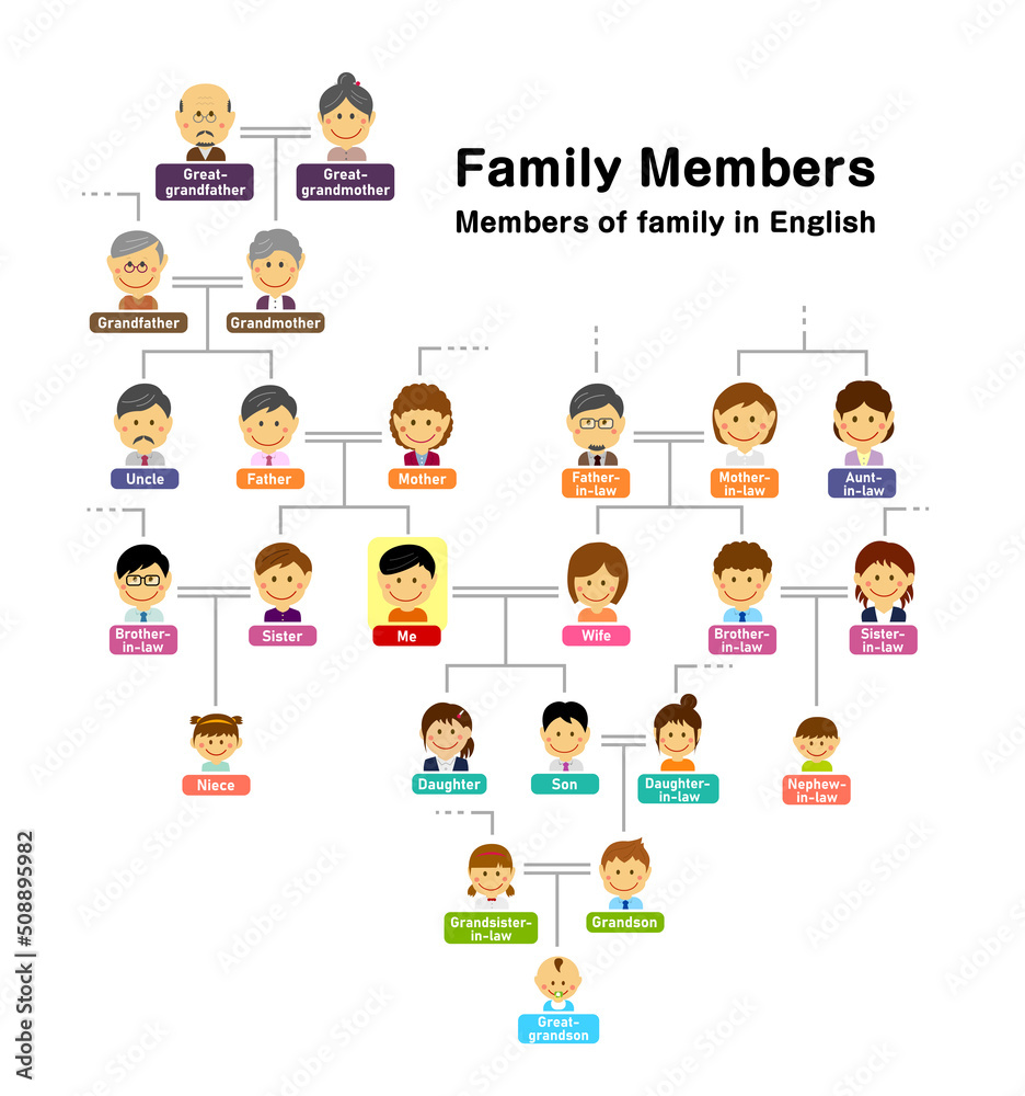 Family tree ( members of family ) vector illustration