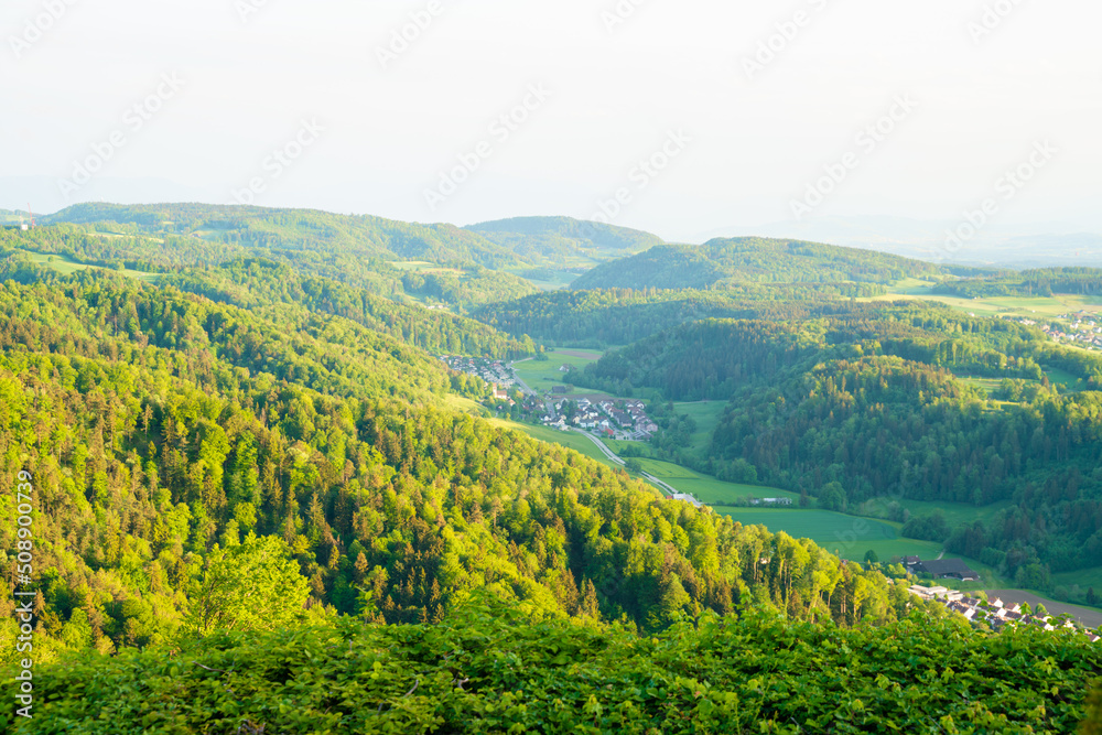 Obraz premium Beautiful Zurich