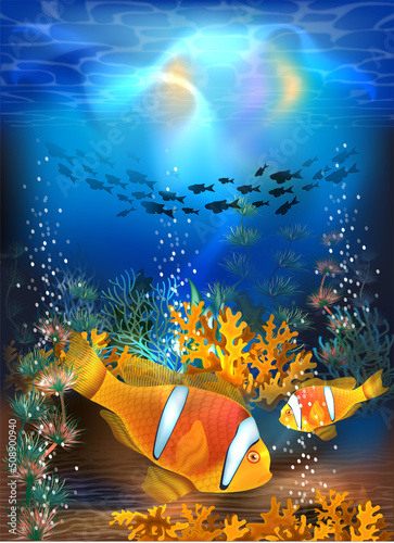 Underwater greeting  card with Tropical clown fish, vector illustration