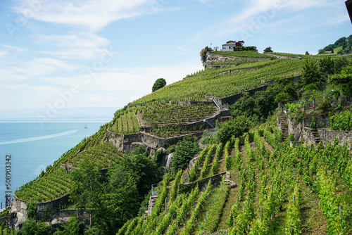 Schilderij op canvas Lavaux, with its vineyard-covered terraces overlooking Lake Geneva, is one of Sw