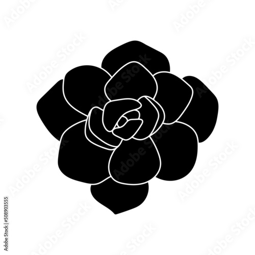 Succulent echeveria in simple style, vector illustration. Desert flower for print and design. Silhouette mexican plant, graphic isolated element on a white background. Houseplant for decor interior