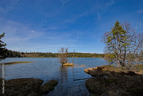 Le lac de Servi  res  volcan d Auvergne