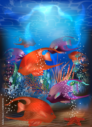 Underwater tropical card with red purple angelfish, vector illustration