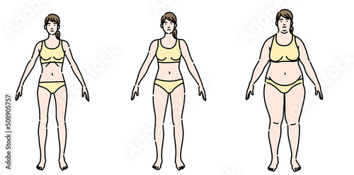 若い女性の体型のセット